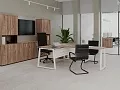 кабинет Проджект Дуб Т